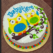 Special Occasion Design 2