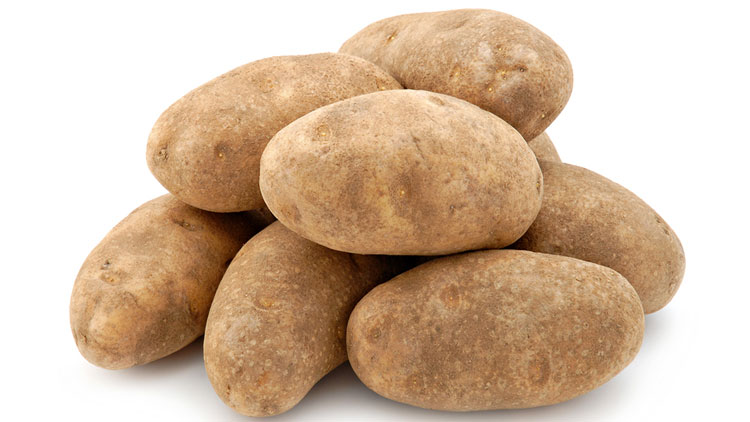 Picture of Russet Potatoes