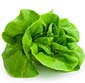Picture of Organic Girl Organic Big Butter Lettuce
