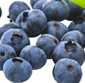 Picture of Fresh Blueberries