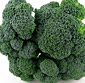 Picture of Organic Broccoli 