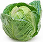 Picture of Green Cabbage