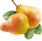 Picture of Comice Pears