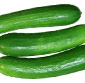 Picture of Organic Cucumbers