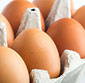 Picture of Egg-Land's Best Organic Large Brown Eggs