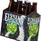 Picture of Elysian Space Dust Beer