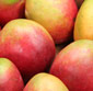 Picture of Organic Mangoes