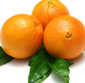 Picture of Chilean Navel Oranges