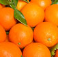 Picture of Heirloom Oranges