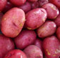 Picture of Yellow or Red Potatoes