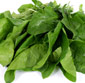 Picture of Fresh Spinach