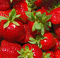 Picture of Fresh Strawberries