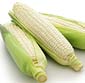Picture of White Corn 