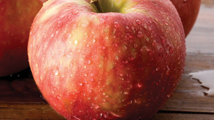 Picture of Premium Honeycrisp Apples