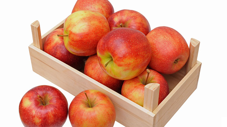 Picture of Washington Large Extra Fancy Gala Apples