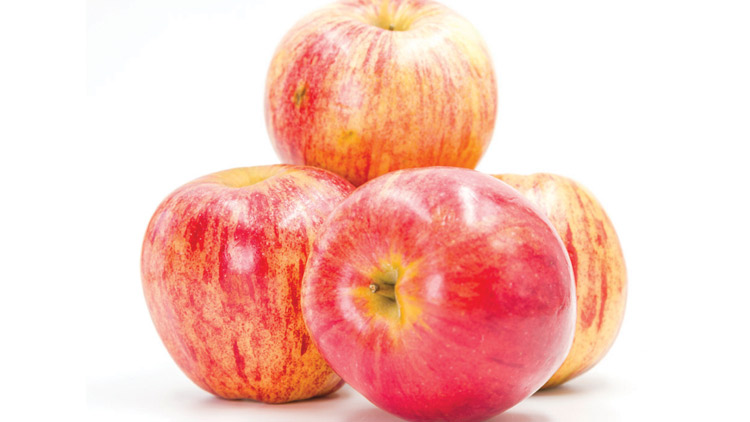 Picture of Sweet Gala Apples