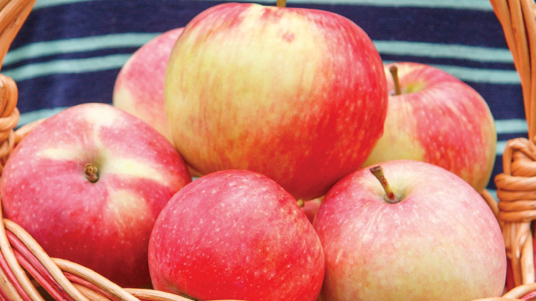 Picture of Washington Fuji or Pink Lady Apples