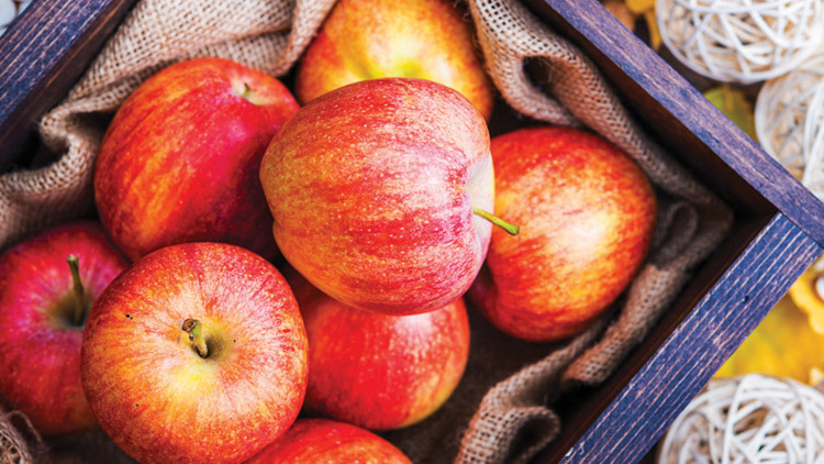 Picture of Sweet Gala Apples