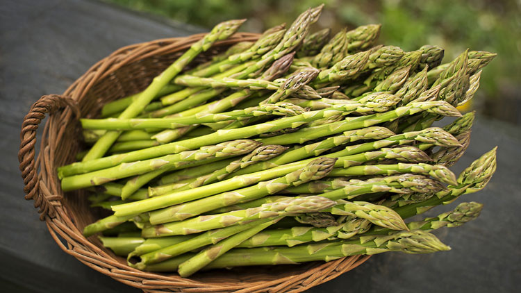 Picture of Asparagus