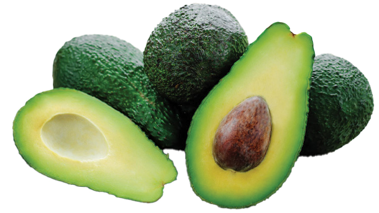 Picture of Medium Hass Avocados