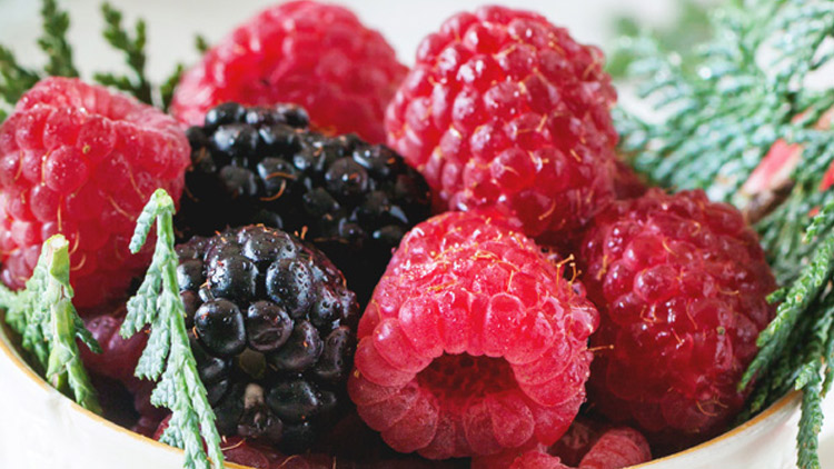 Picture of Sweet Raspberries or Blackberries