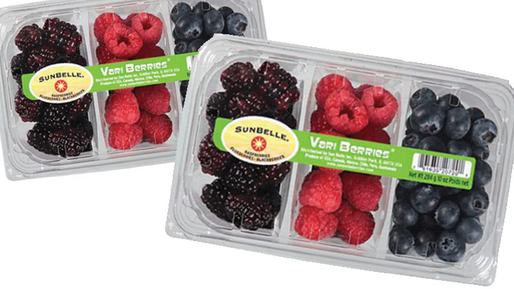 Picture of SunBelle Vari Berries