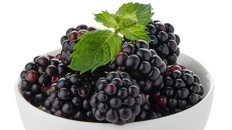 Picture of Ripe Blackberries