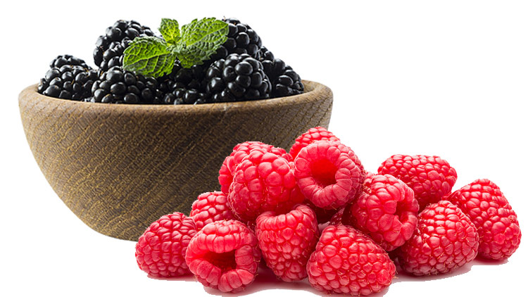 Picture of Red Raspberries or Blackberries
