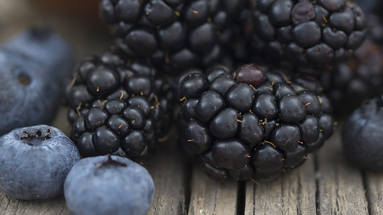 Picture of Blueberries or Blackberries