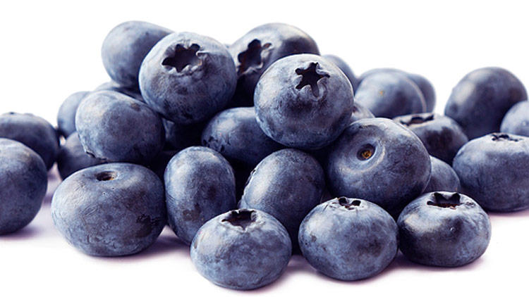 Picture of Blueberries
