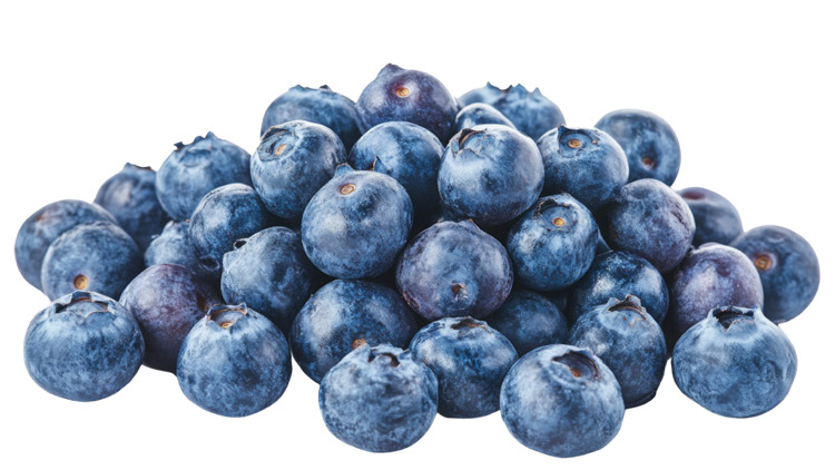 Picture of Northwest Blueberries