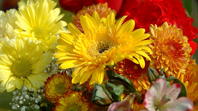 Picture of Small Arrangement