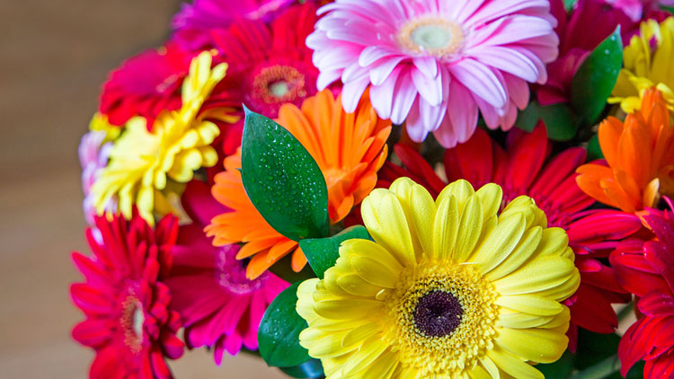 Picture of Freshly Picked Small Arrangement