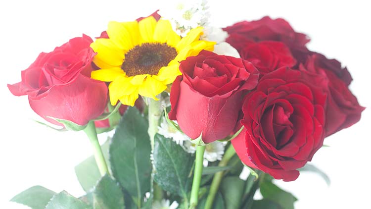 Picture of Feliz Dia Mama or Mi Madre es Especial Bouquets