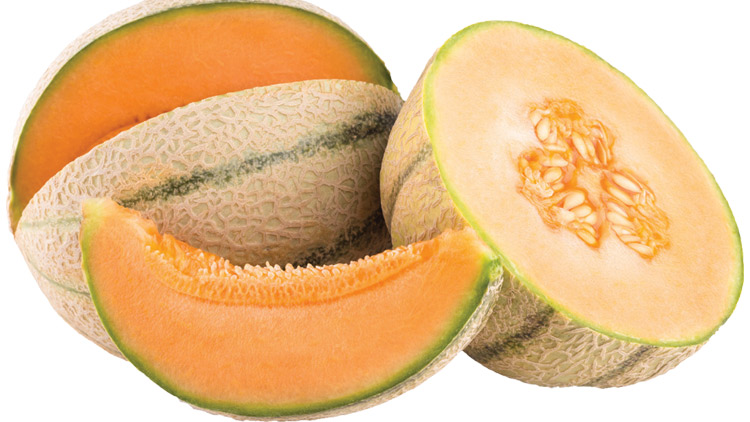 Picture of Sweet Cantaloupes