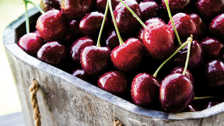 Picture of Dark Red Sweet Cherries