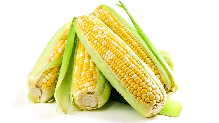 Picture of Local Sweet Corn