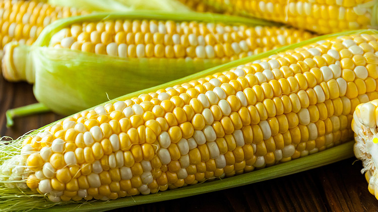 Picture of Farm Fresh Sweet Corn