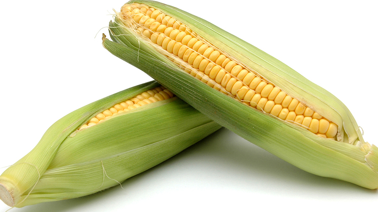 Picture of Farm Fresh Sweet Corn