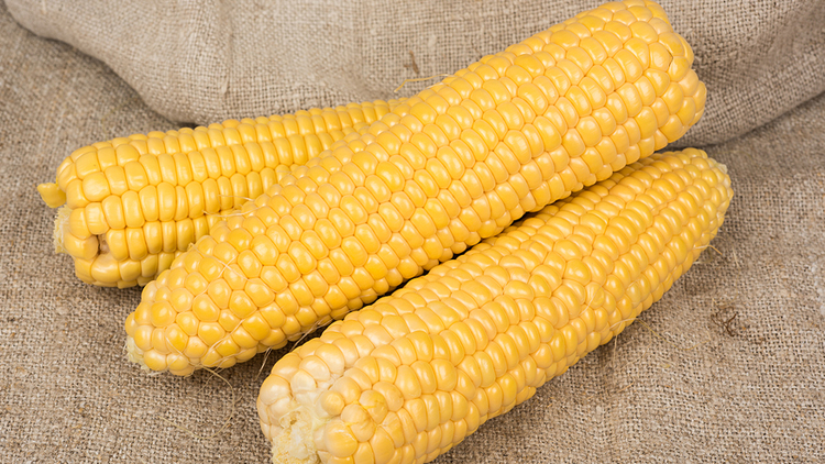 Picture of Southern Corn