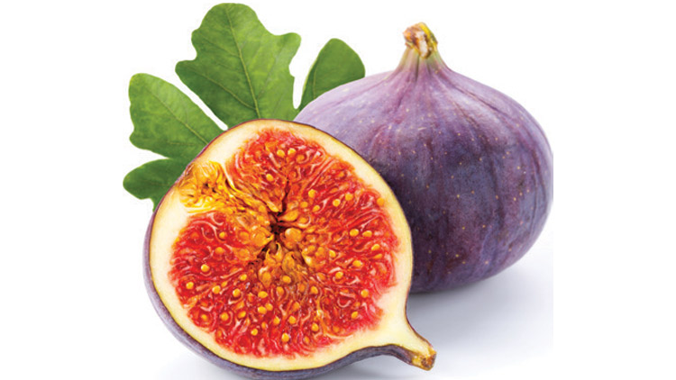 Picture of Black Mission or Turkey Figs