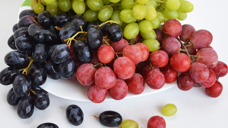 Picture of Large California Red, Green or Black Seedless Grapes
