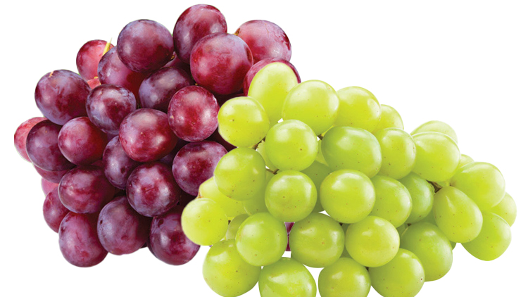 Picture of Red or Green Seedless Grapes