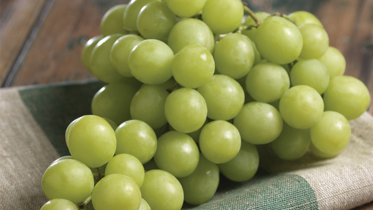 Picture of Jumbo Autumn Crisp Green Grapes