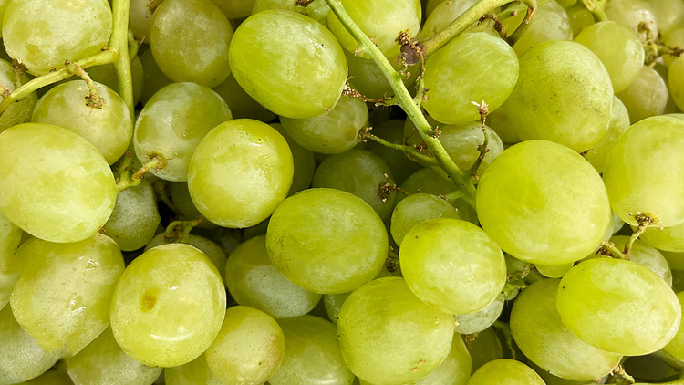 Picture of Seedless Green Grapes