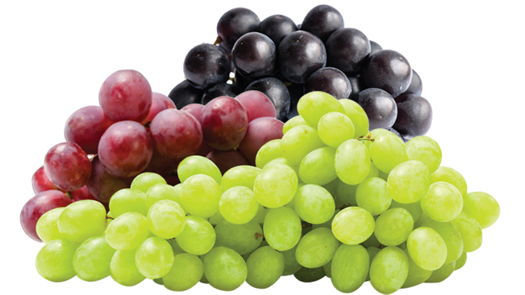 Picture of Green, Red or Black Seedless Grapes
