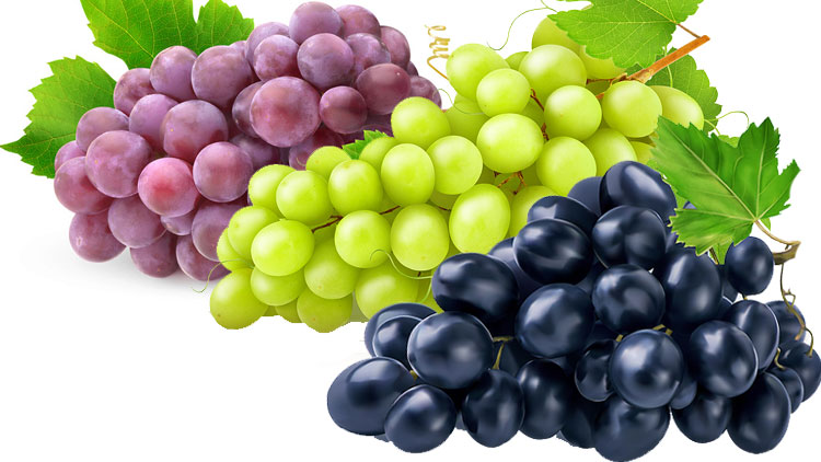 Picture of California Red, Green or Black Seedless Grapes