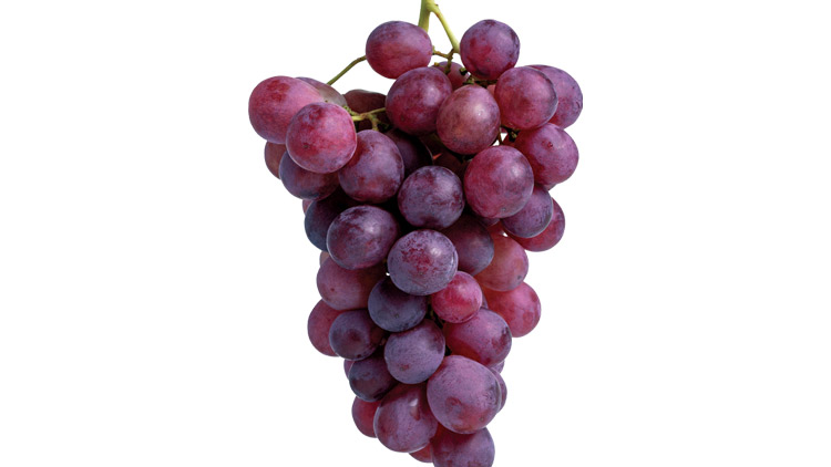 Picture of XL Candy Heart Grapes