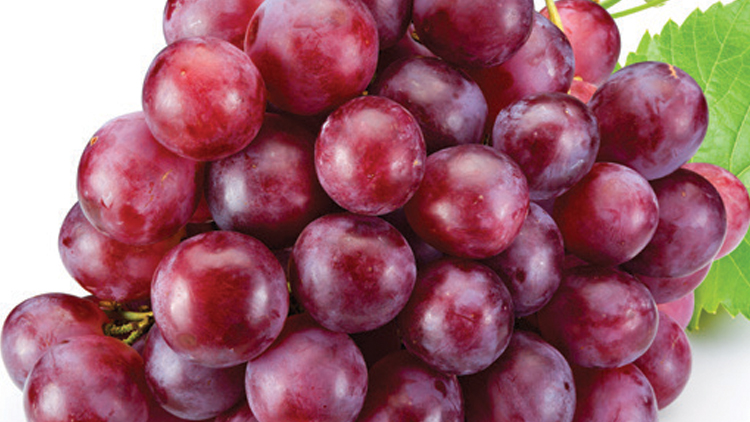 Picture of Red Seedless Grapes