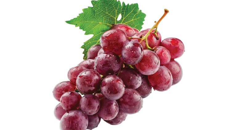 Picture of XL Red Seedless Grapes